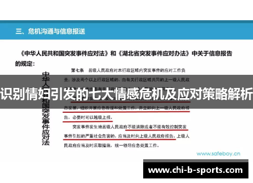 识别情妇引发的七大情感危机及应对策略解析