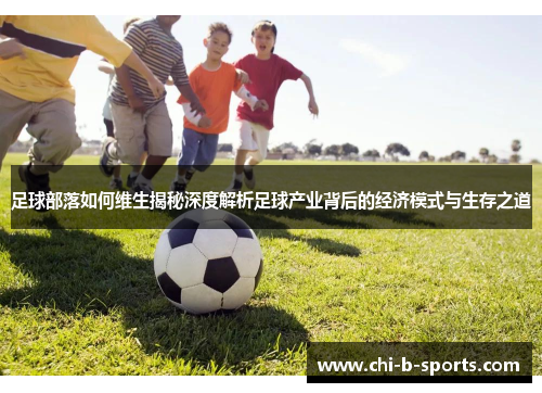 足球部落如何维生揭秘深度解析足球产业背后的经济模式与生存之道