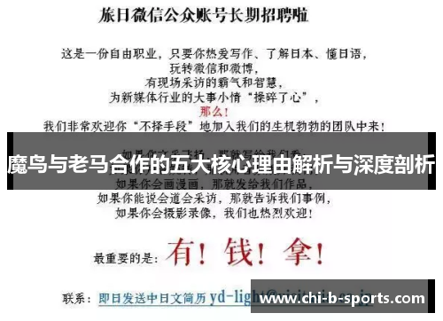 魔鸟与老马合作的五大核心理由解析与深度剖析