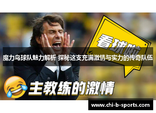 魔力鸟球队魅力解析 探秘这支充满激情与实力的传奇队伍
