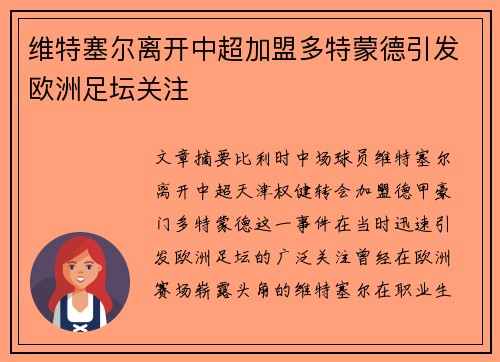 维特塞尔离开中超加盟多特蒙德引发欧洲足坛关注